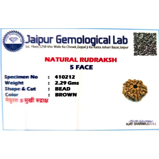 5 Mukhi Nepal Rudraksha – Original & Certified Panchmukhi Bead 5 Mukhi Nepal Rudraksha – Original & Certified Panchmukhi Bead